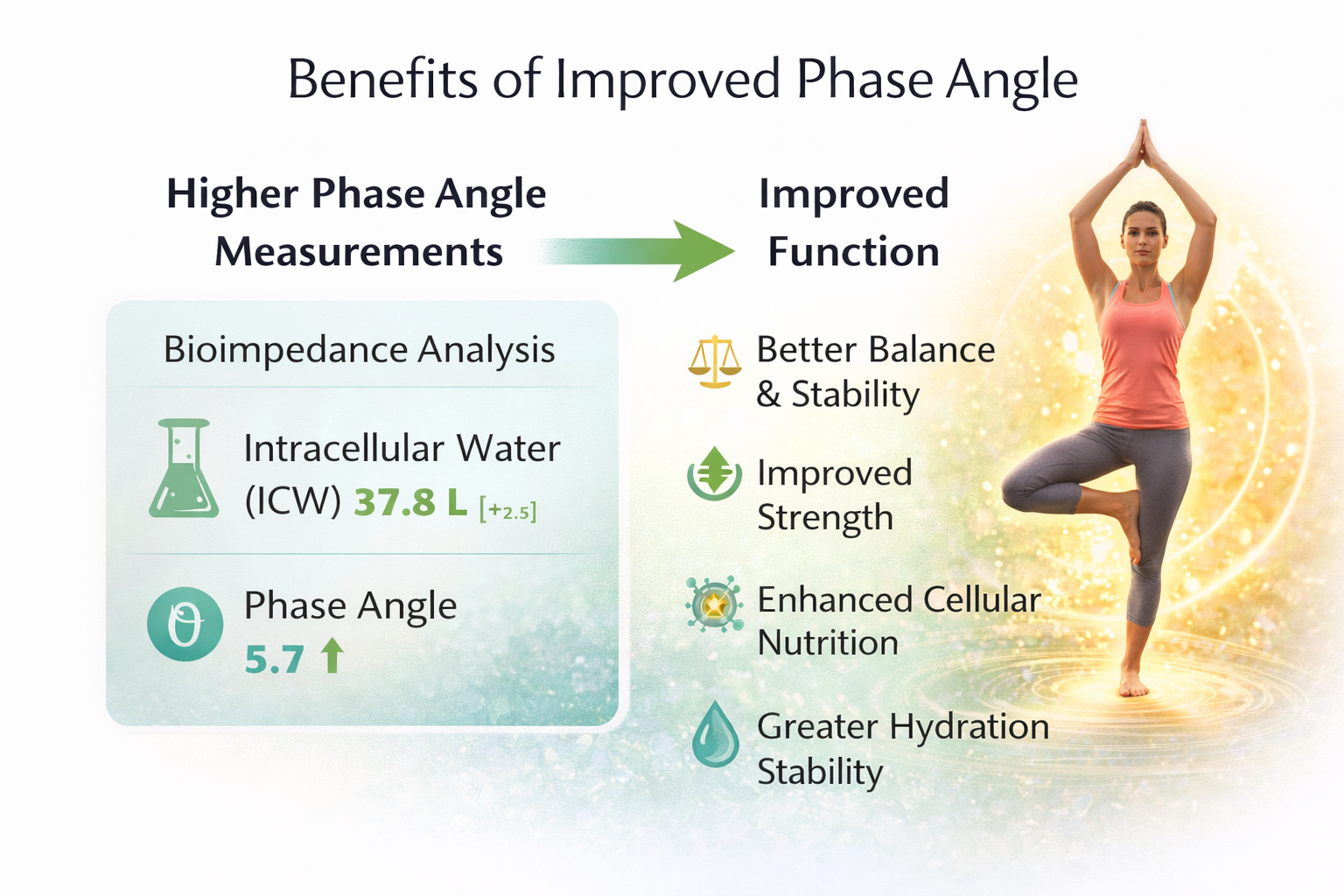 Diagram showing the benefits of improved phase angle with a woman in a yoga pose.